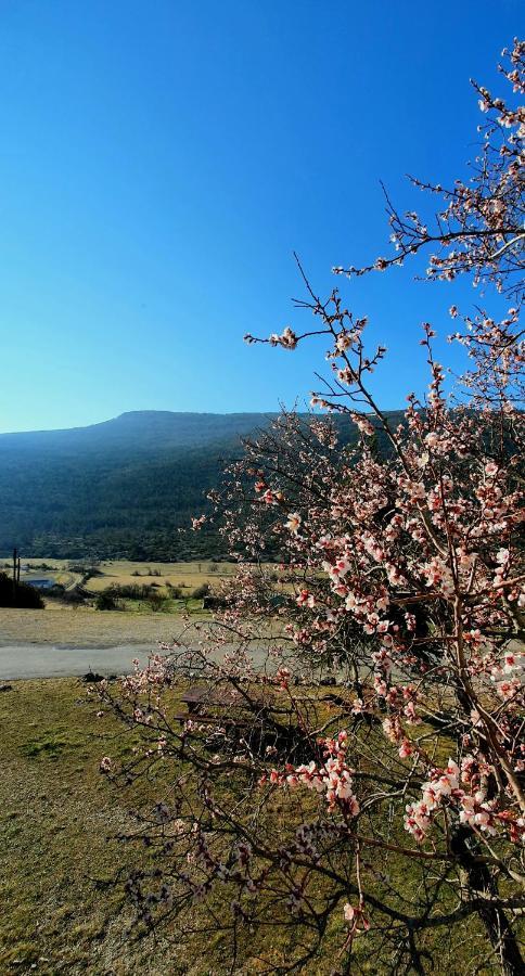 Auberge Collective Cozy&Family La Palud-sur-Verdon Eksteriør bilde